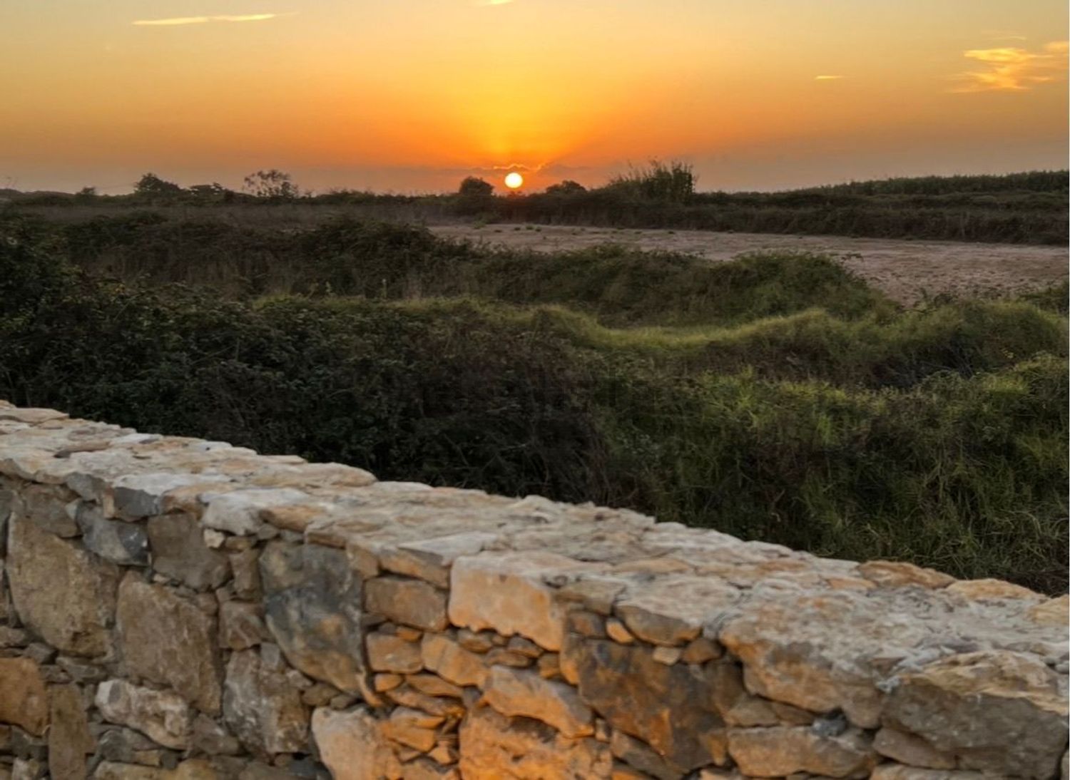 出租双拼别墅在Caminho do Figueiredo, 6 - 花园