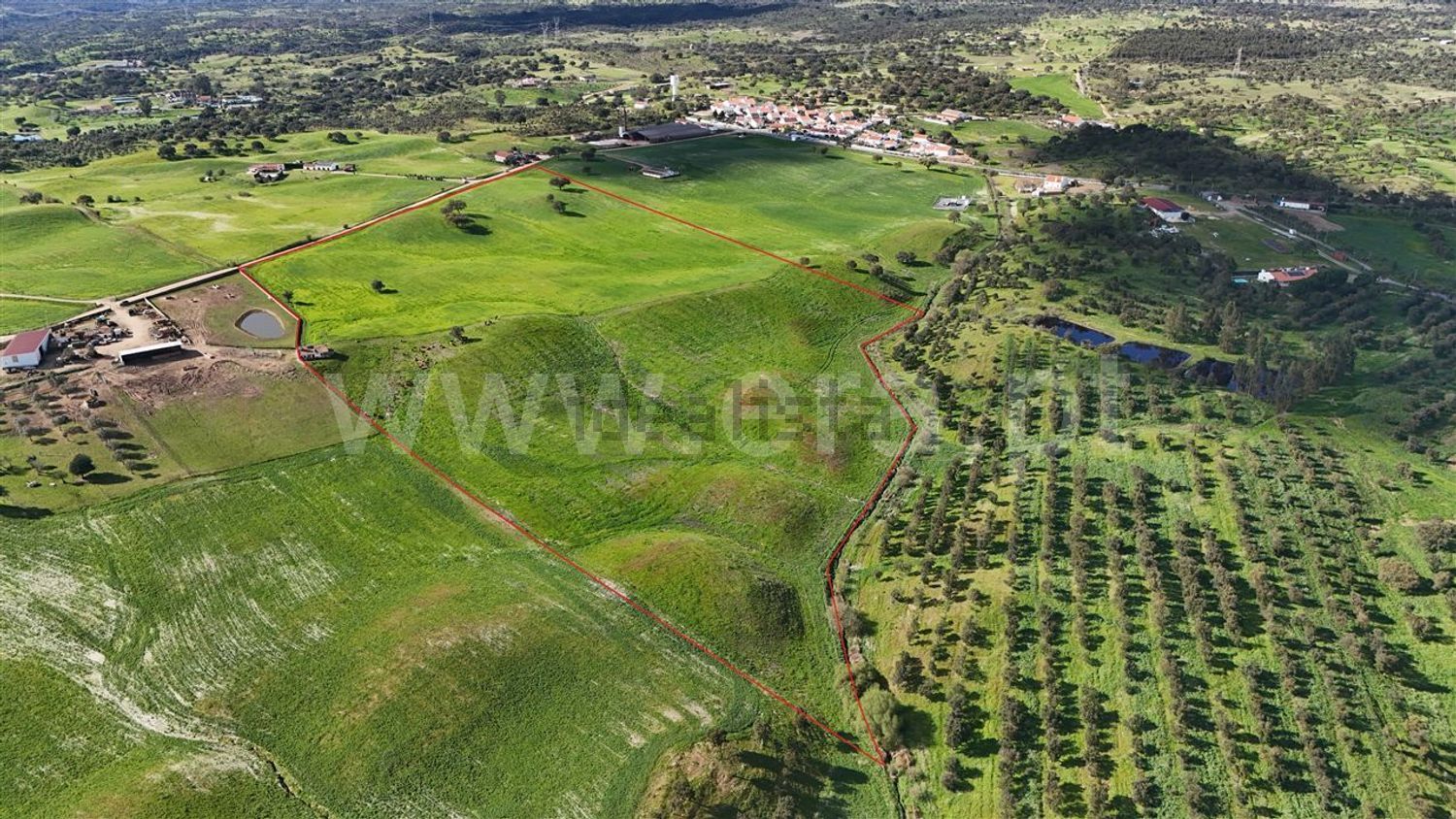 庄园出售在Abela - 视线