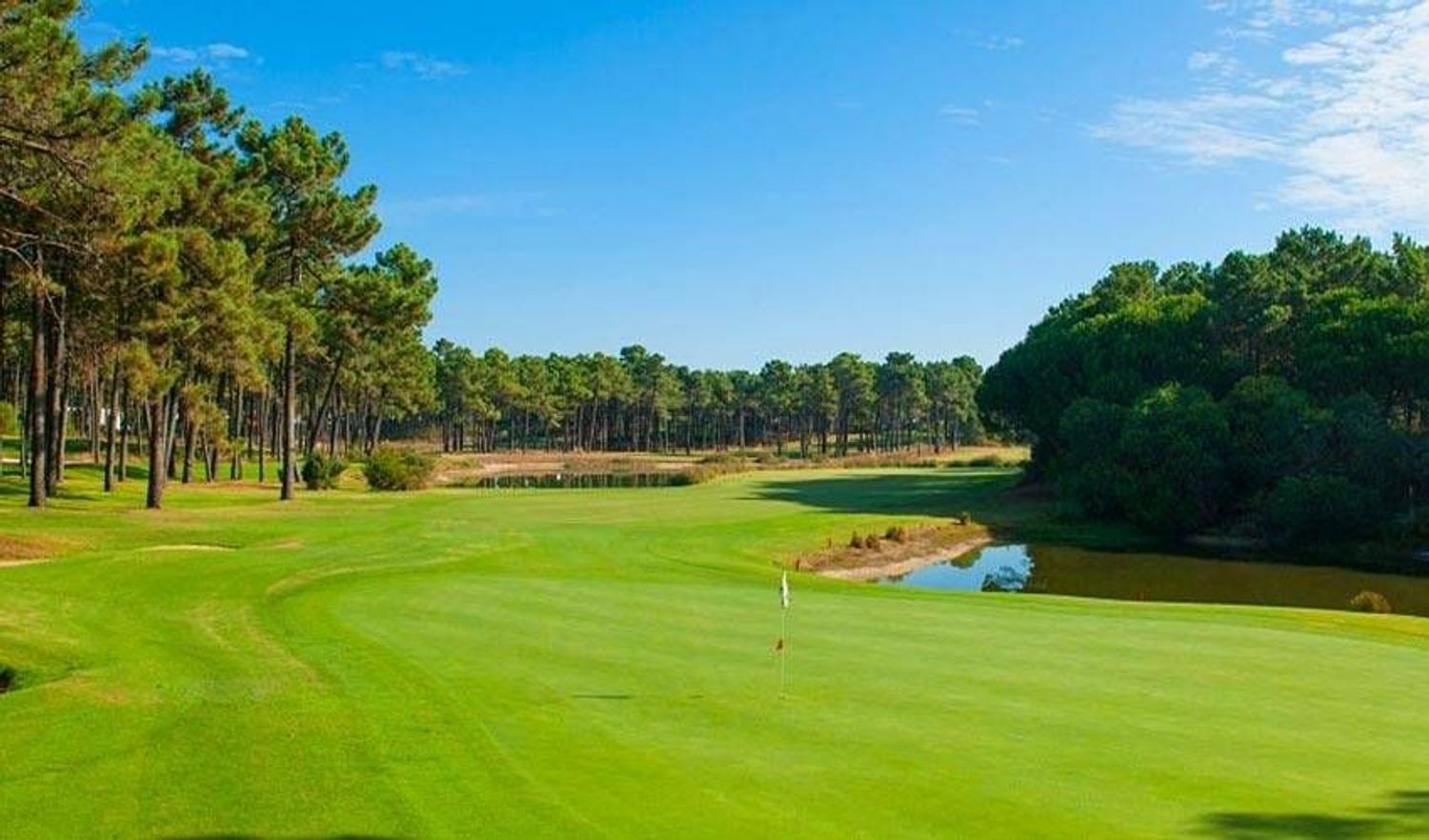 出租小楼房或独栋别墅在Rua das Margaridas, 20 - 周边