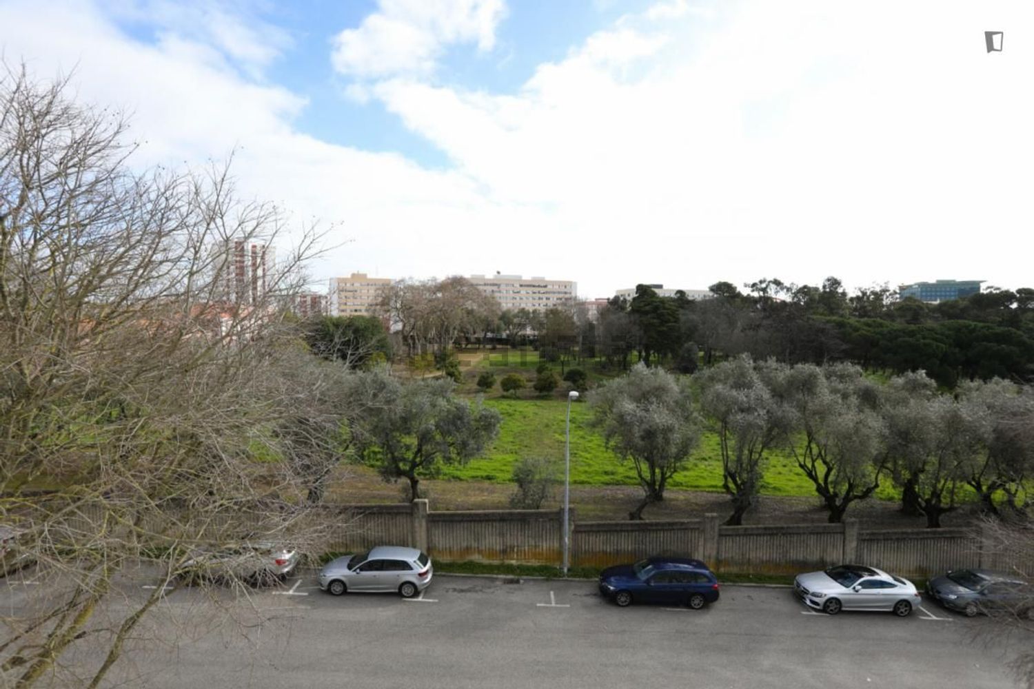 出租房间在Rua Guiomar Torresão - 花园