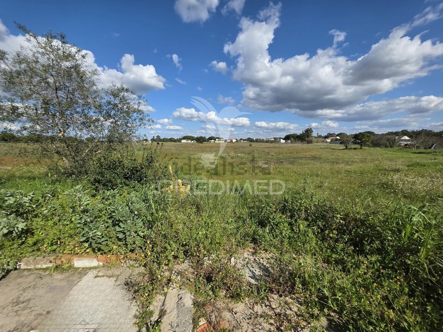 小楼房或独栋别墅出售在Rua Cândido de Matos Vieira - 花园