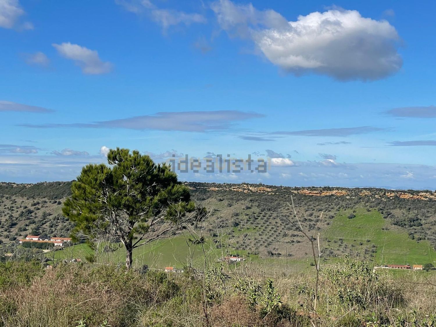 庄园出售Cm1052 s/n - 视线