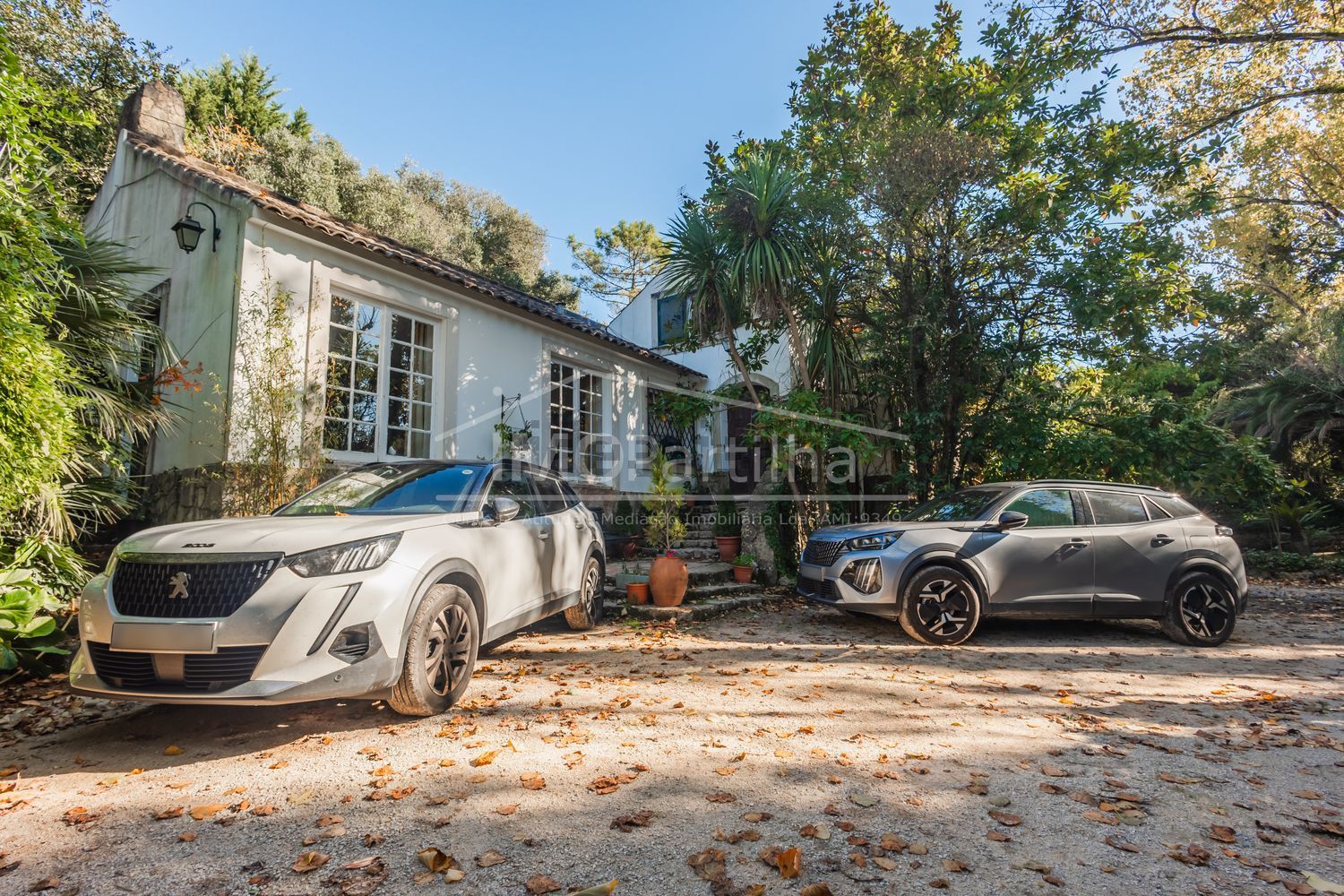 庄园出售在Alameda das Acácias - 外立面