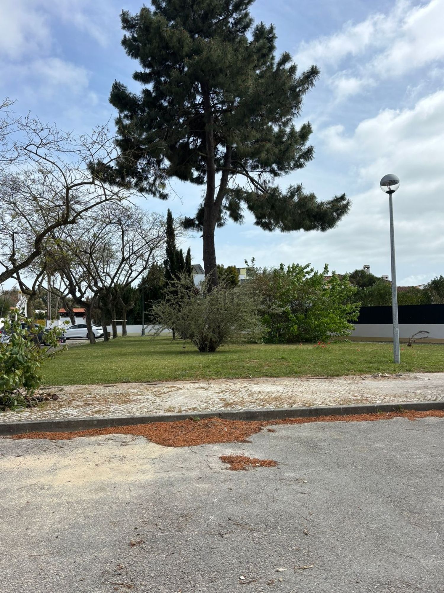 出租公寓 t2在Vale de Choupos - Choilo - Galeotas - 共同区域