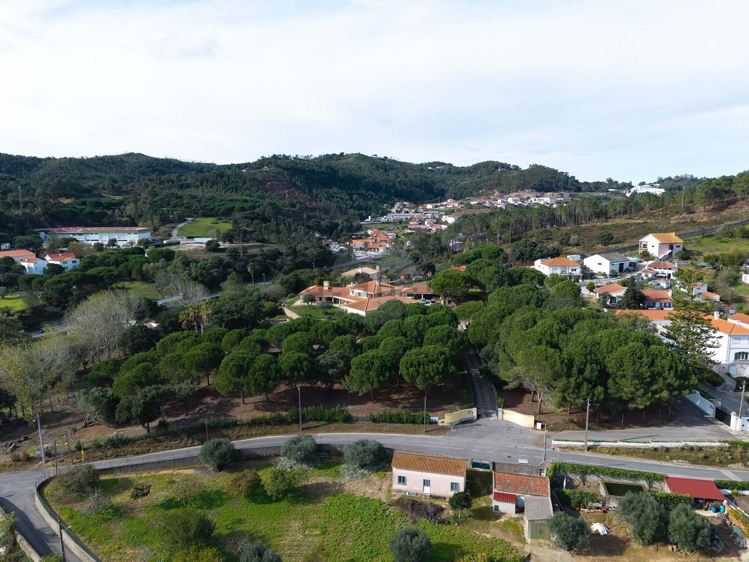 庄园出售在Rua da Varzea - 视线