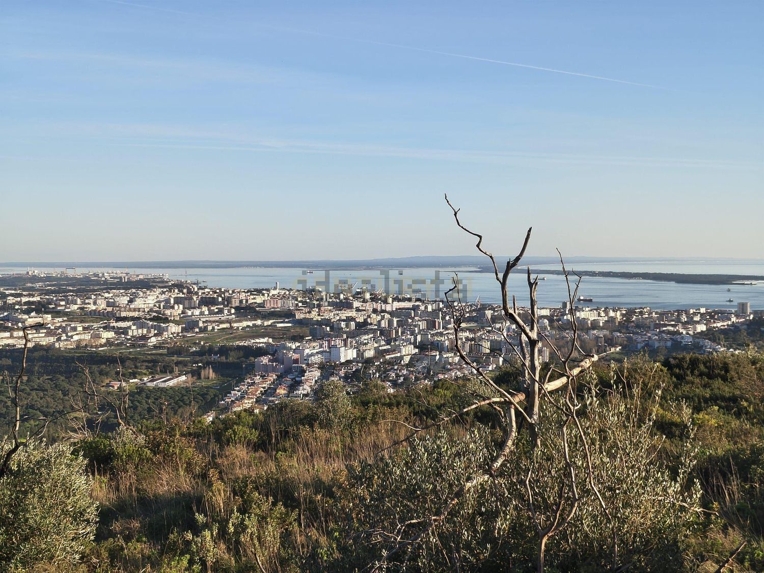 庄园出售Cm1052 s/n - 视线