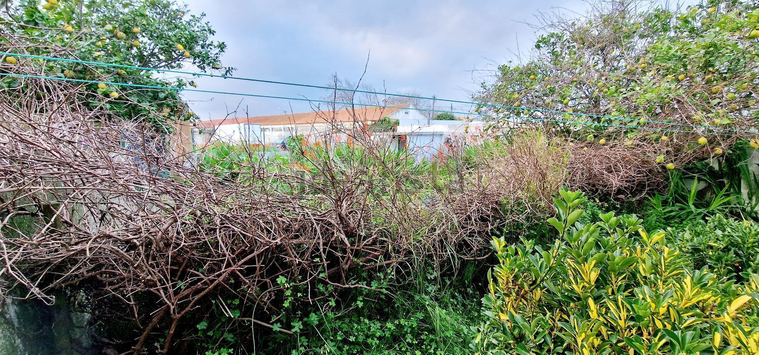 出租公寓 t2在Estrada de Paço de Arcos - 花园