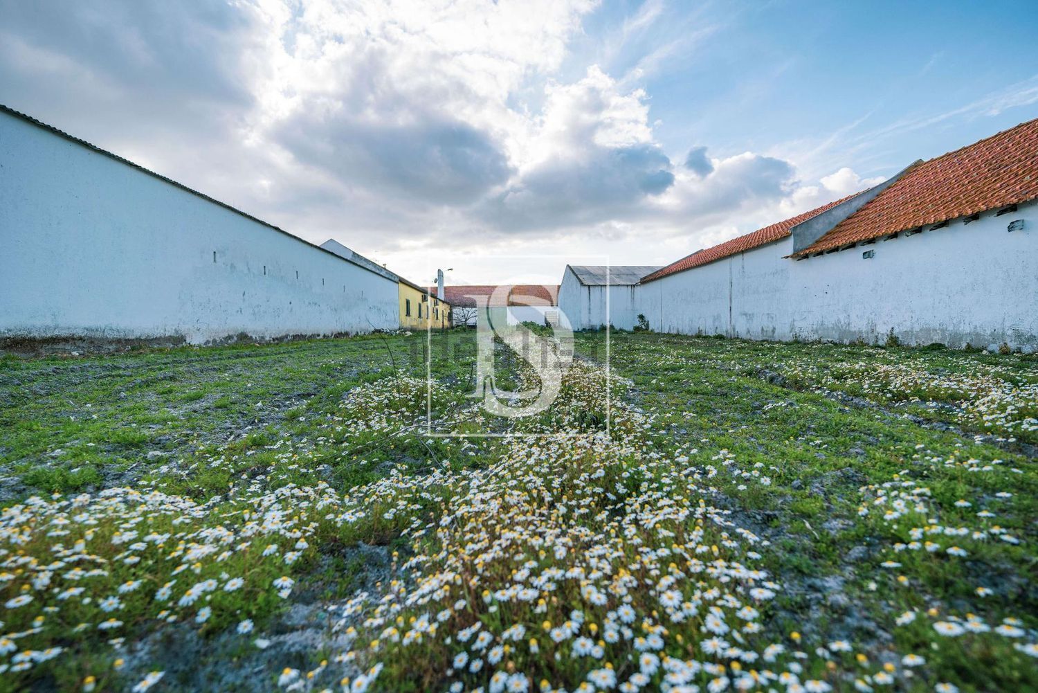 农庄出售在Poceirão e Marateca - 花园