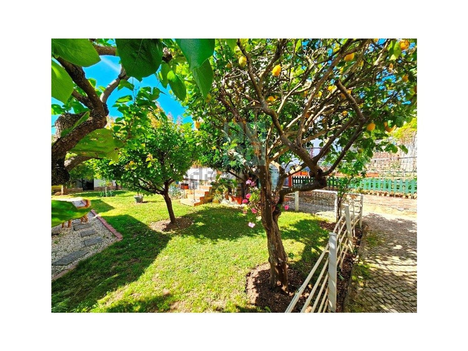 小楼房或独栋别墅出售在Rua Zambujal, 263 a - 花园