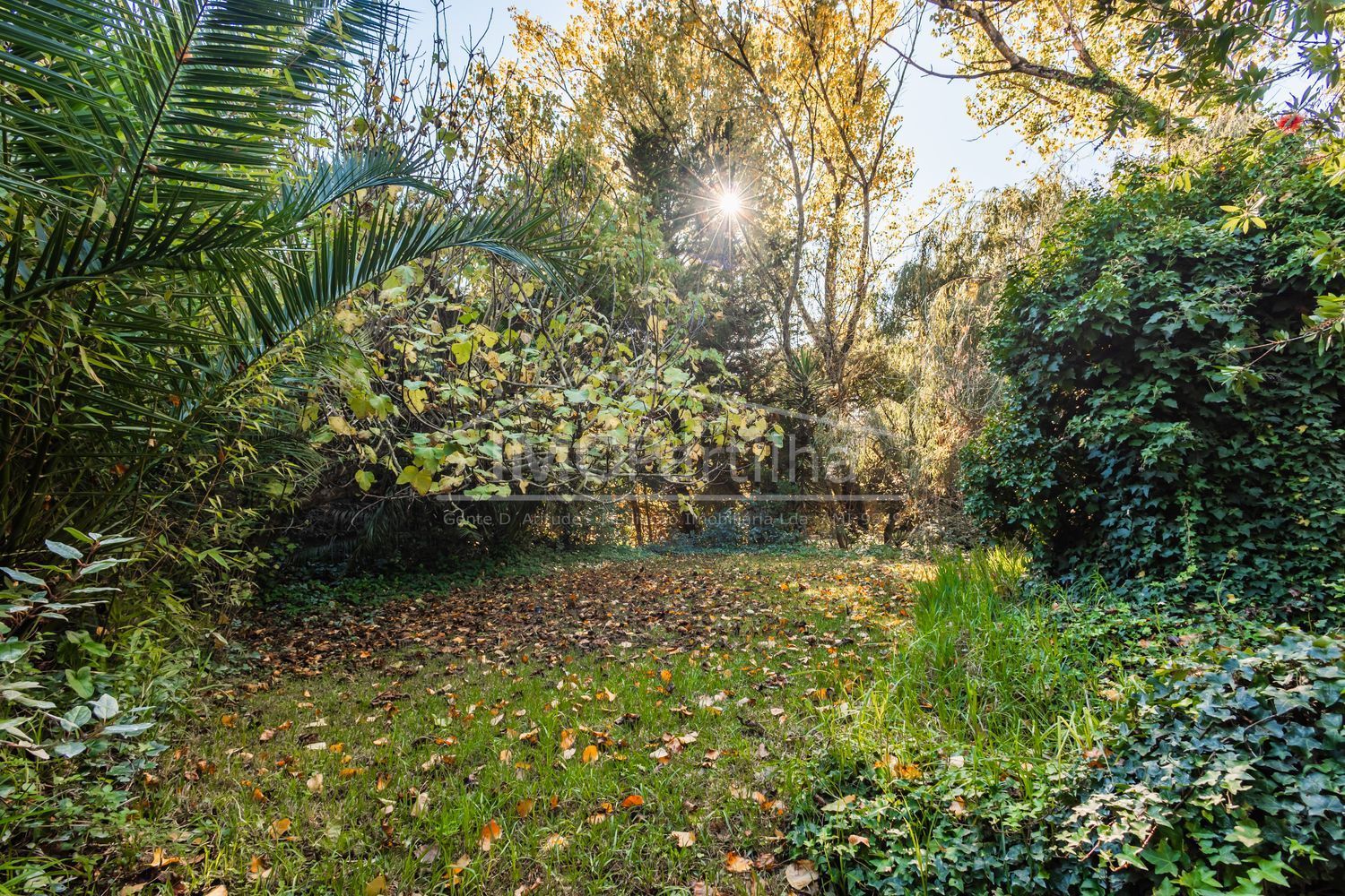 庄园出售在Alameda das Acácias - 花园