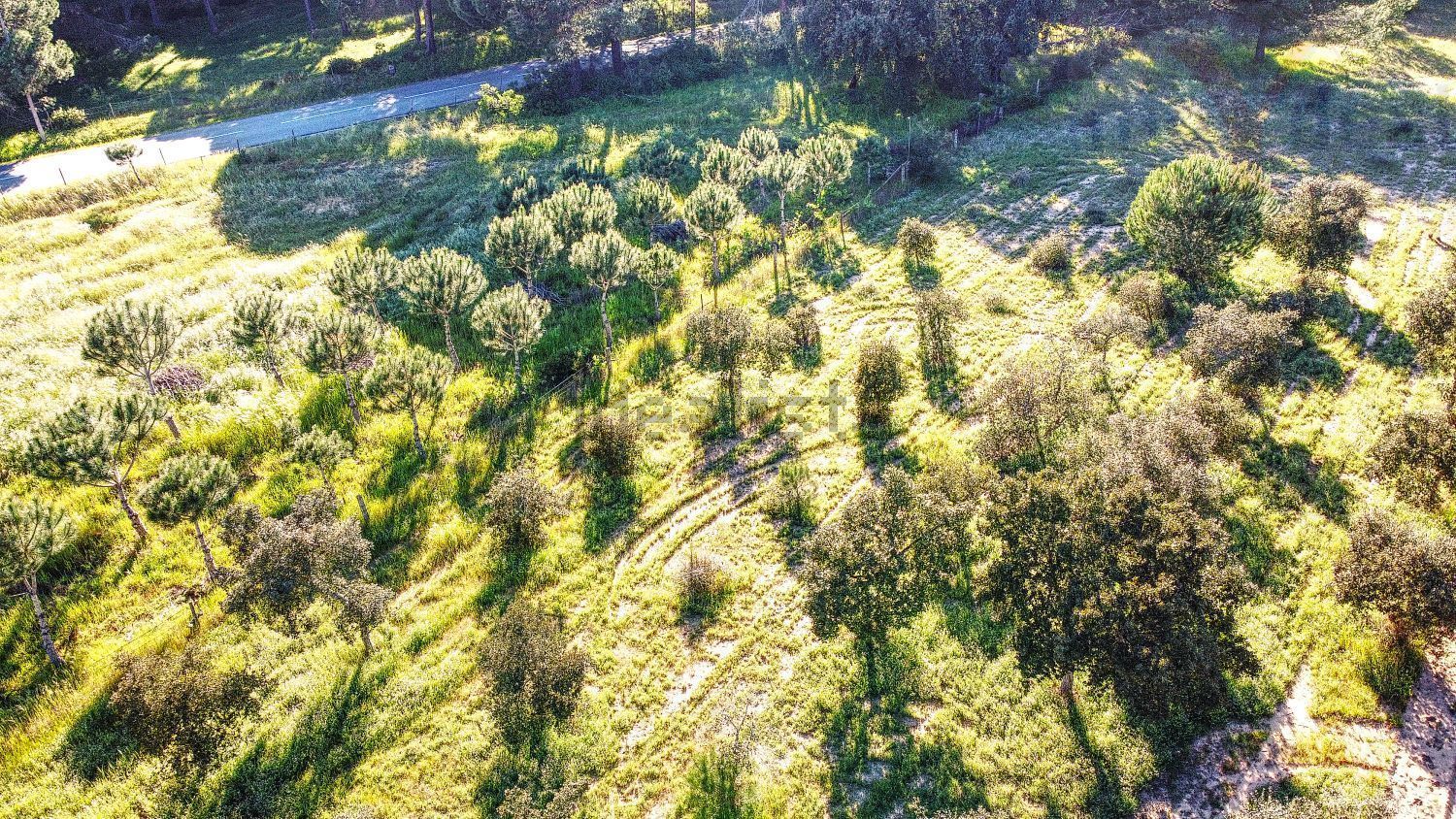 庄园出售在Melides - 花园