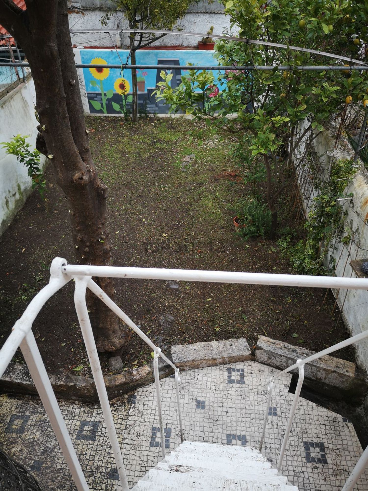 出租公寓 t1在Rua da Bela Vista à Graça, 90 - 花园