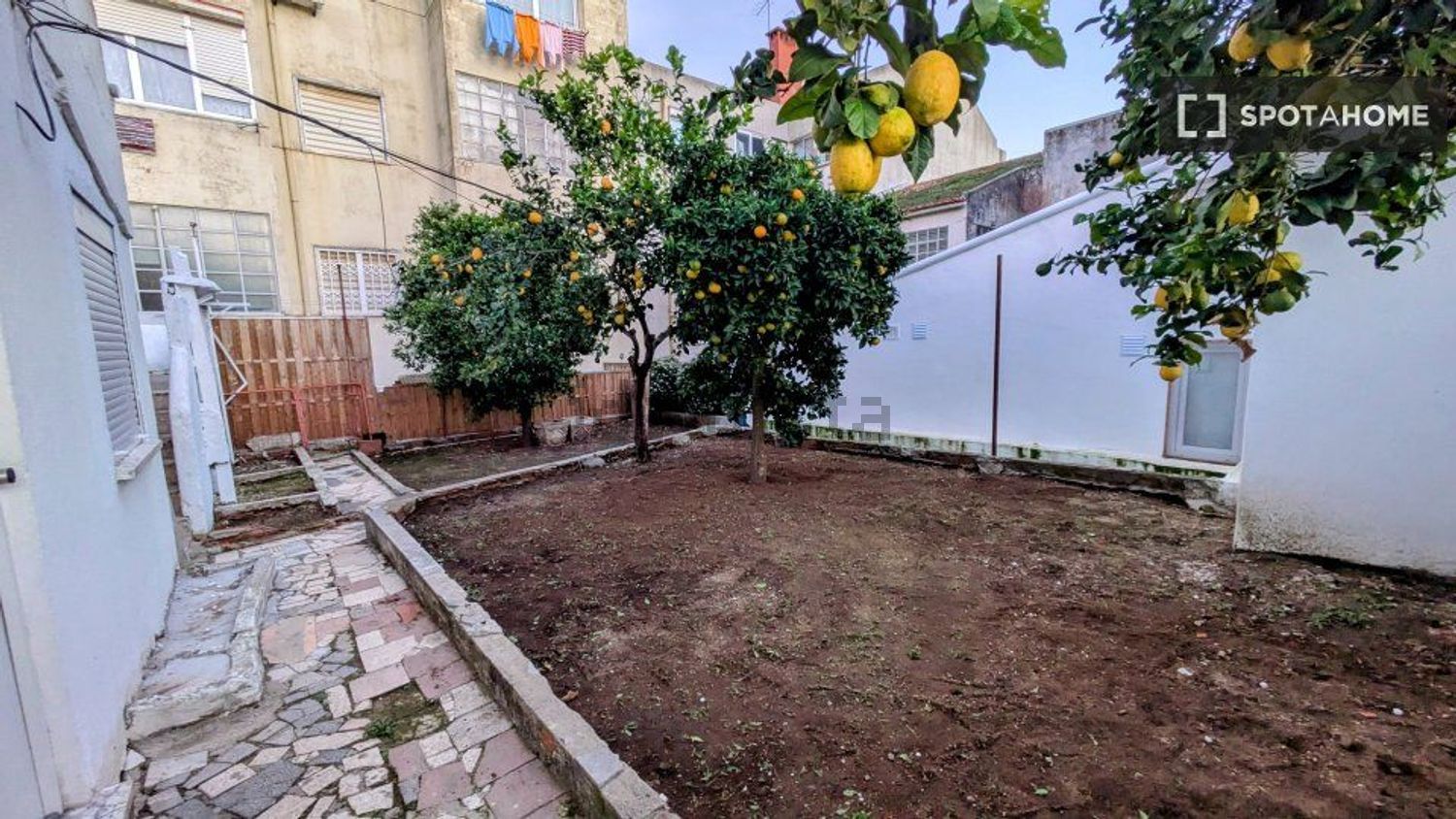 出租t0（单人公寓）在Rua Marechal Gomes da Costa - 花园