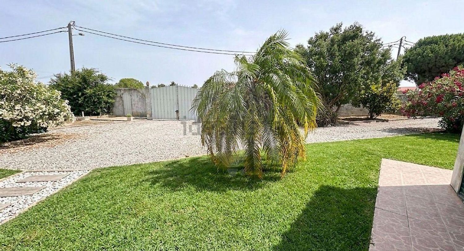 小楼房或独栋别墅出售在Rua do Sol - 花园