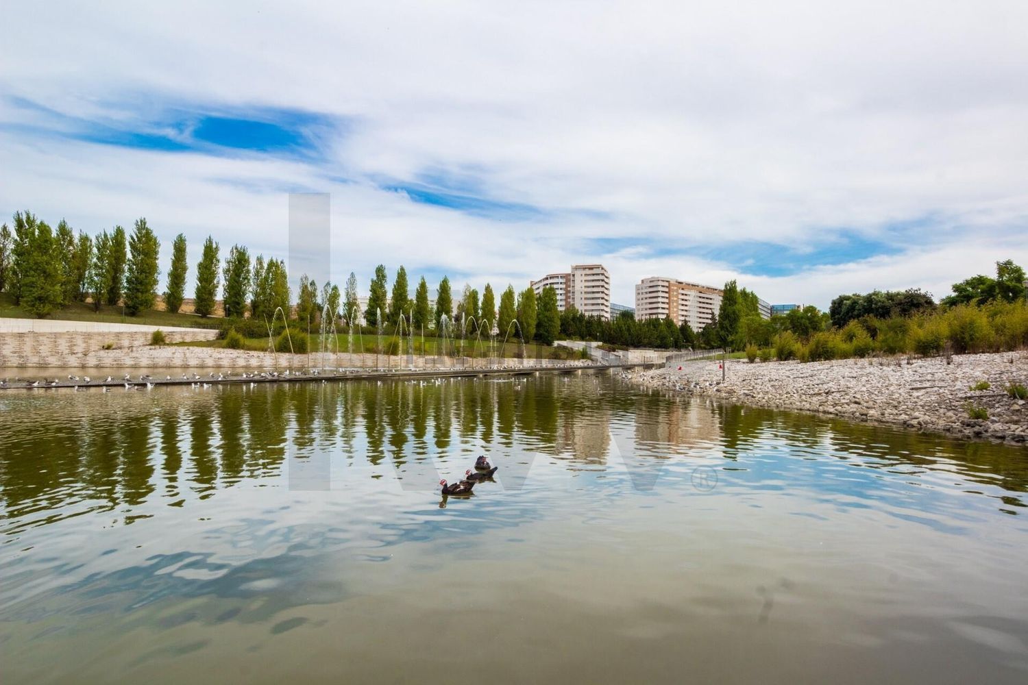 公寓 t1出售在Santa Clara - 视线