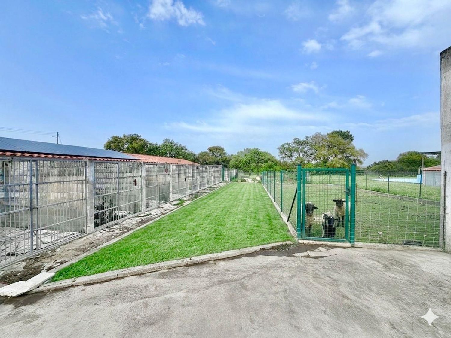 小楼房或独栋别墅出售在Alhos Vedros - 花园