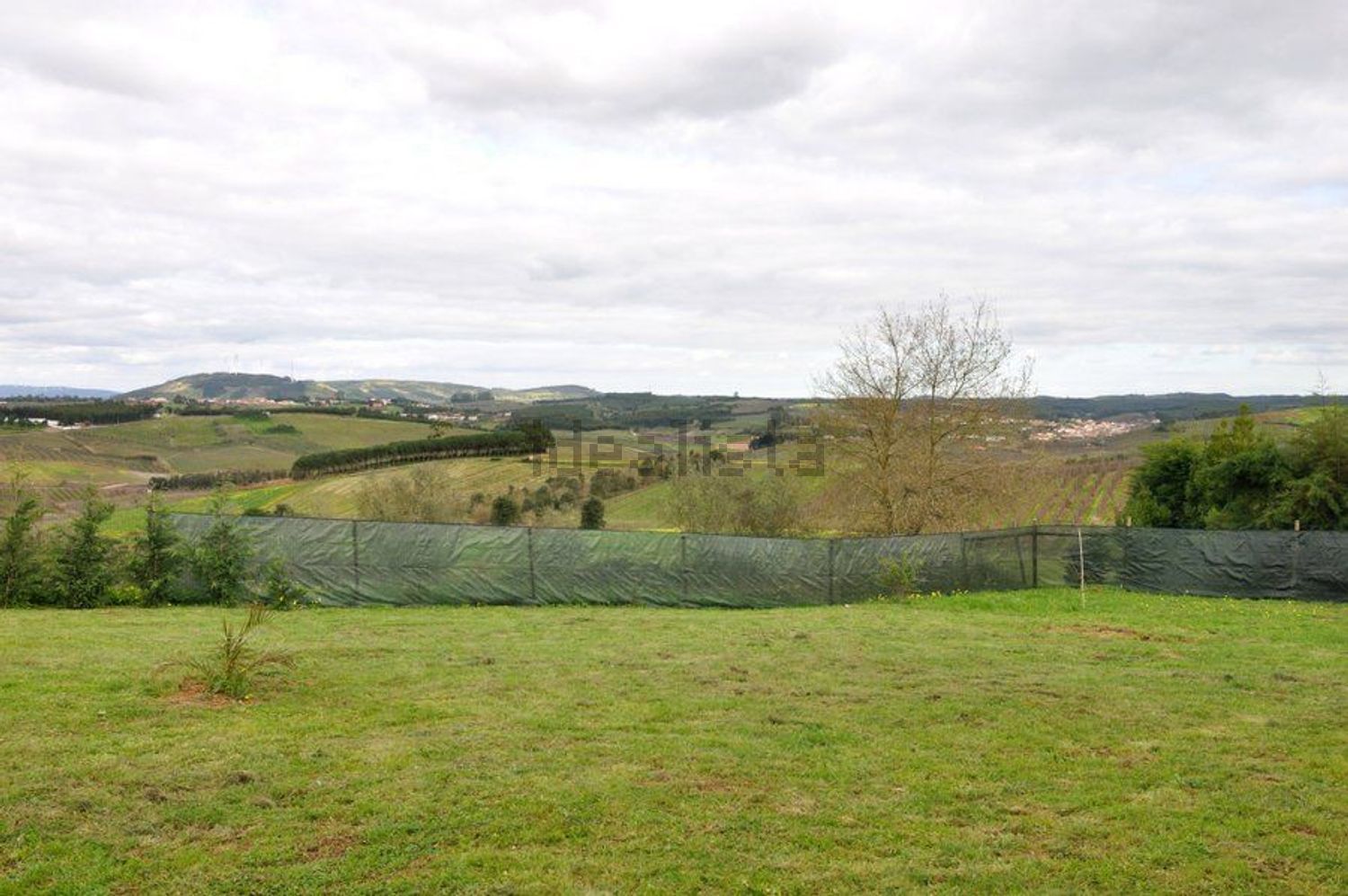 出租小楼房或独栋别墅Peral, 2550 - 花园