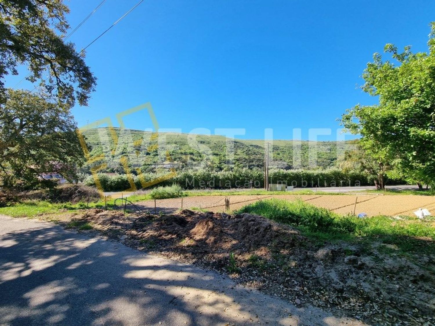 小楼房或独栋别墅出售在Avenida Catarina Eufémia - 花园