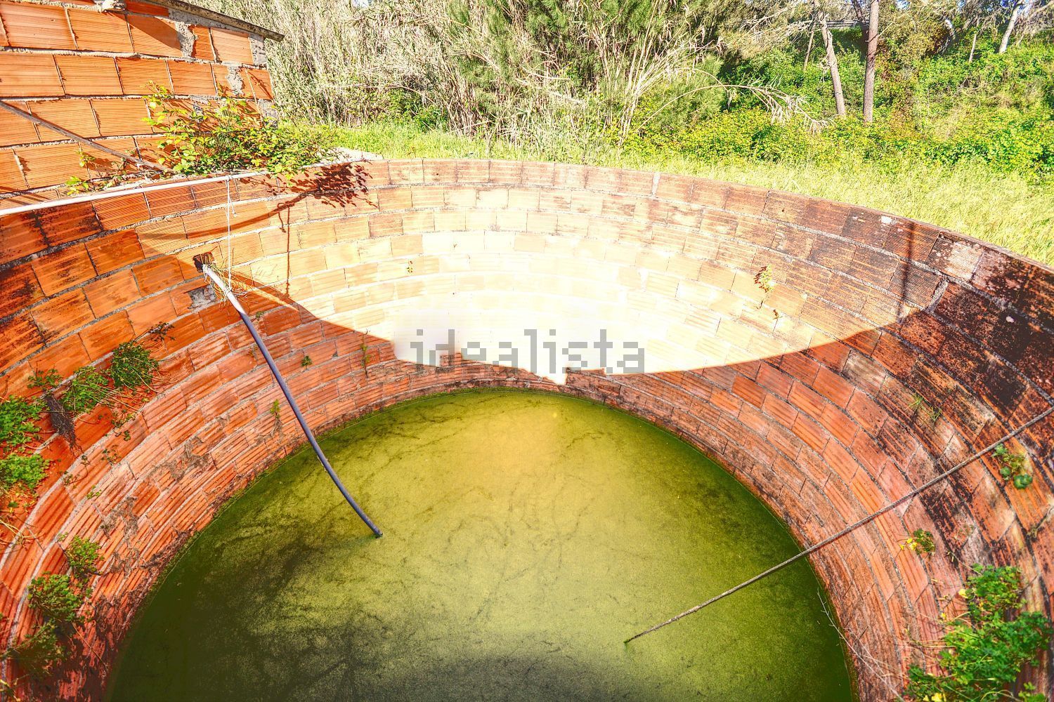 庄园出售在Melides - 花园