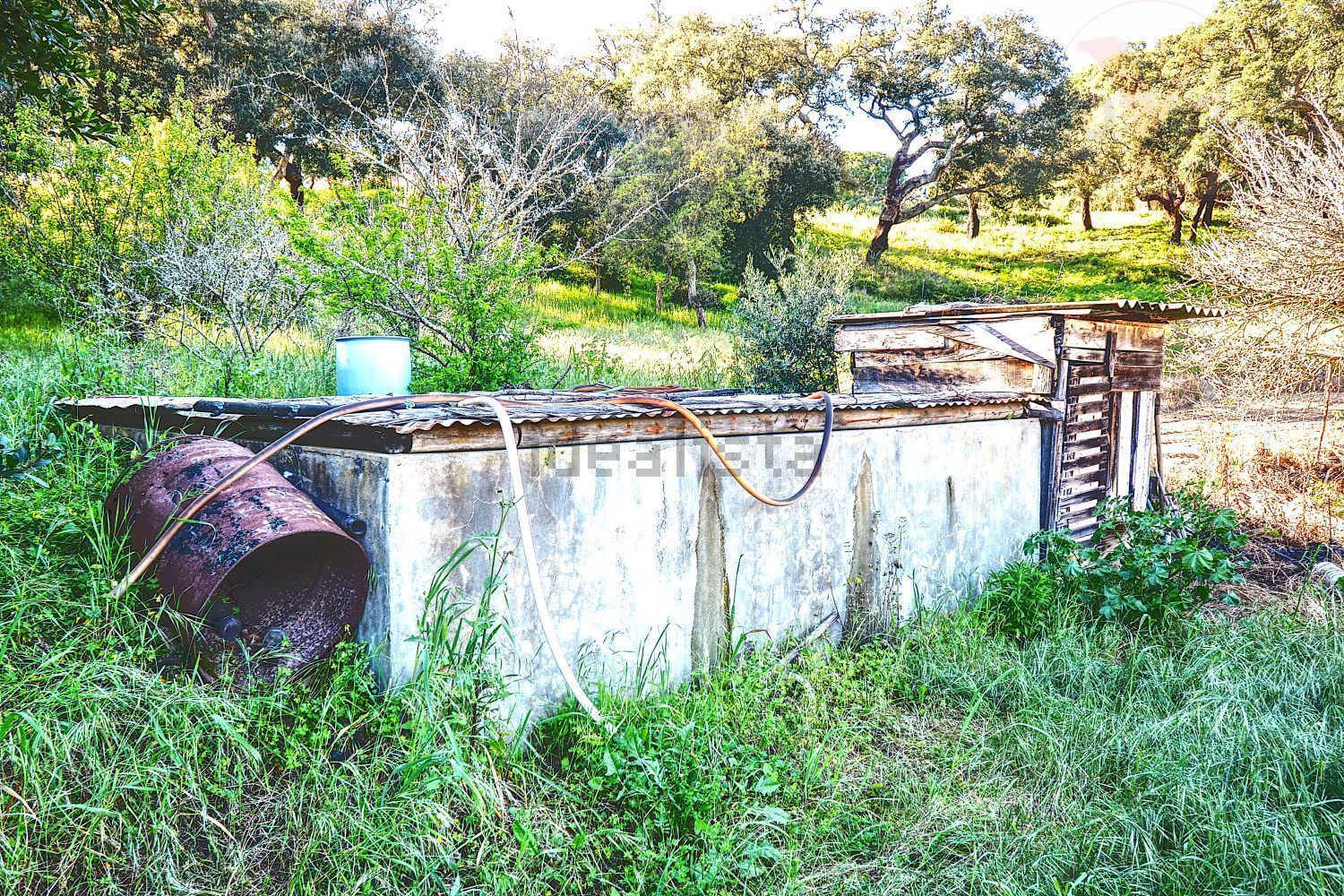 庄园出售在Melides - 照片