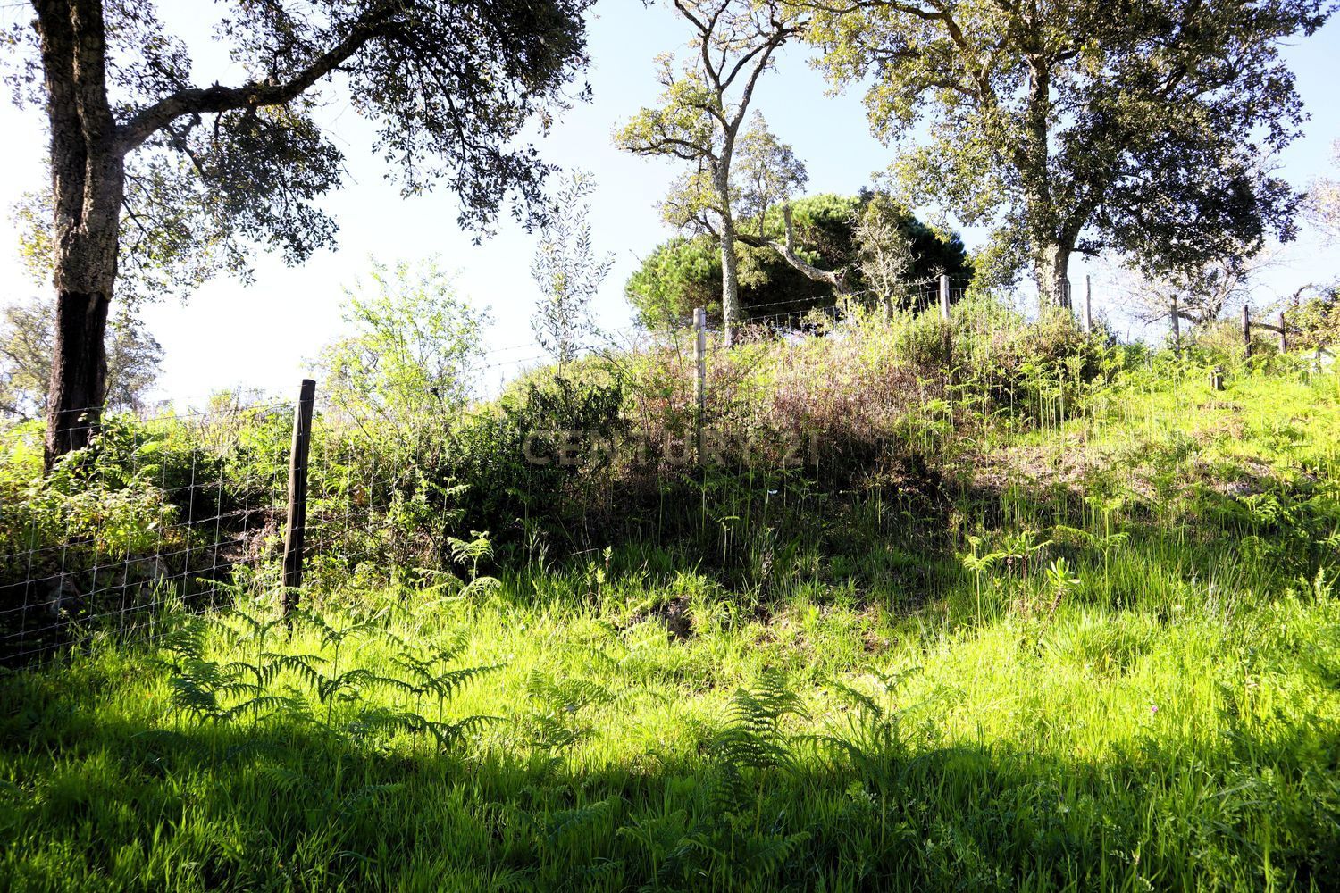 小楼房或独栋别墅出售在Estrada de Santo Estevão - 花园