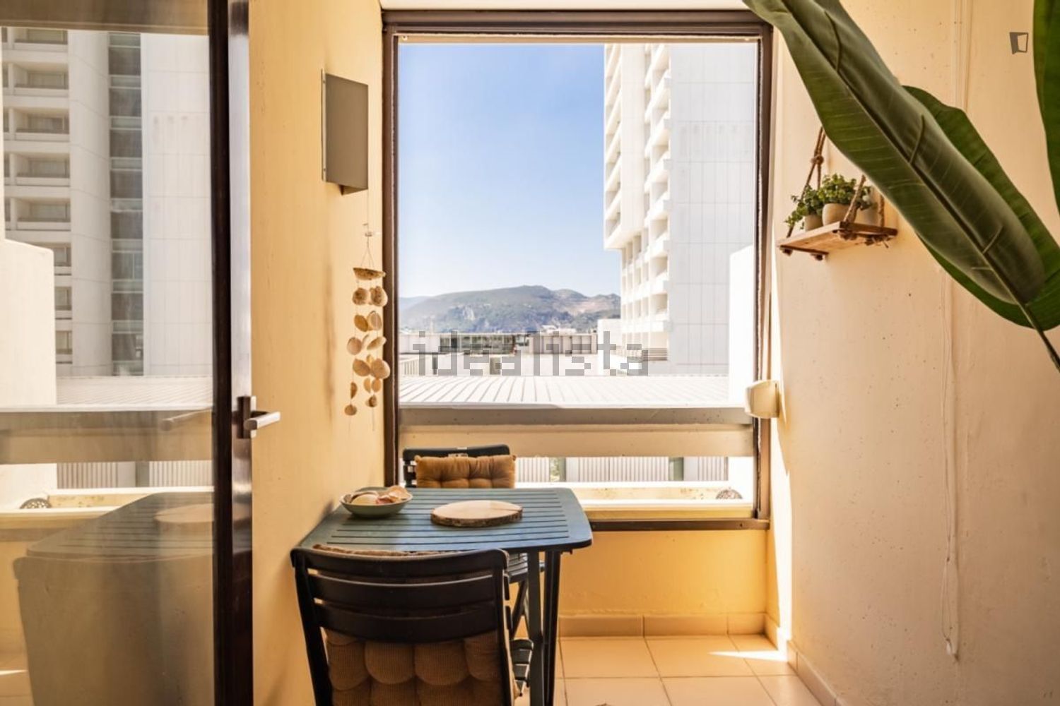 出租公寓 t2在Rua da Azinheira - 照片