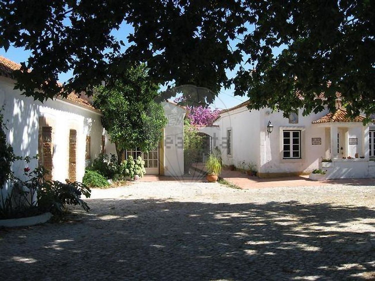 庄园出售在Rua António Roldão - 外立面