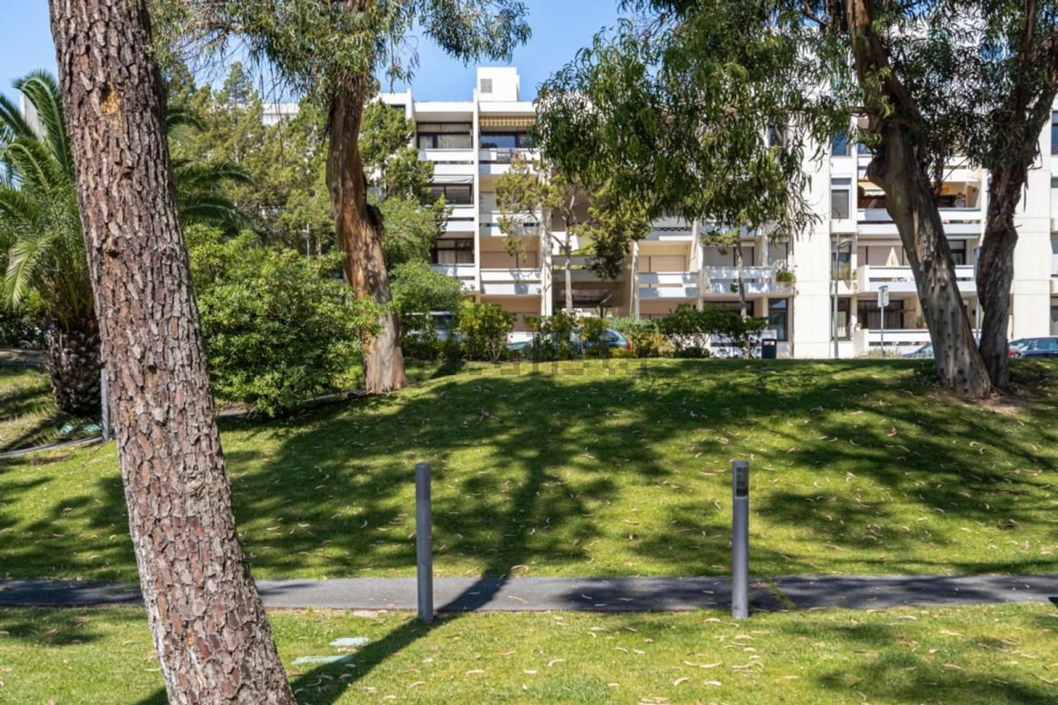 出租公寓 t2在Rua da Azinheira - 花园