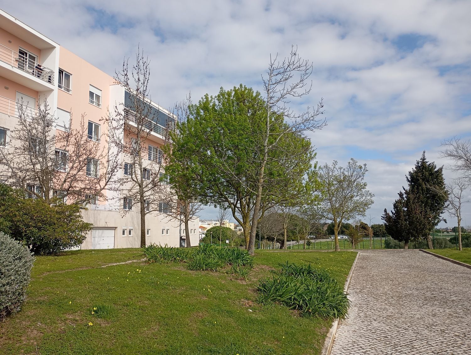 出租公寓 t2在Rua Canto e Castro, 1 - 花园