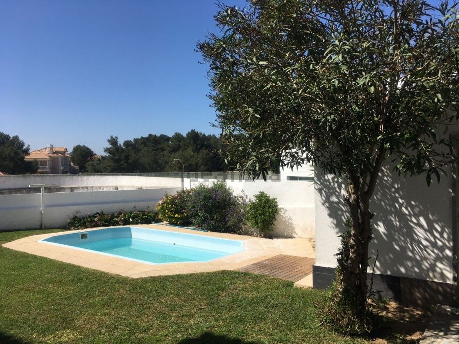 出租小楼房或独栋别墅在Centro de Cascais - 游泳池