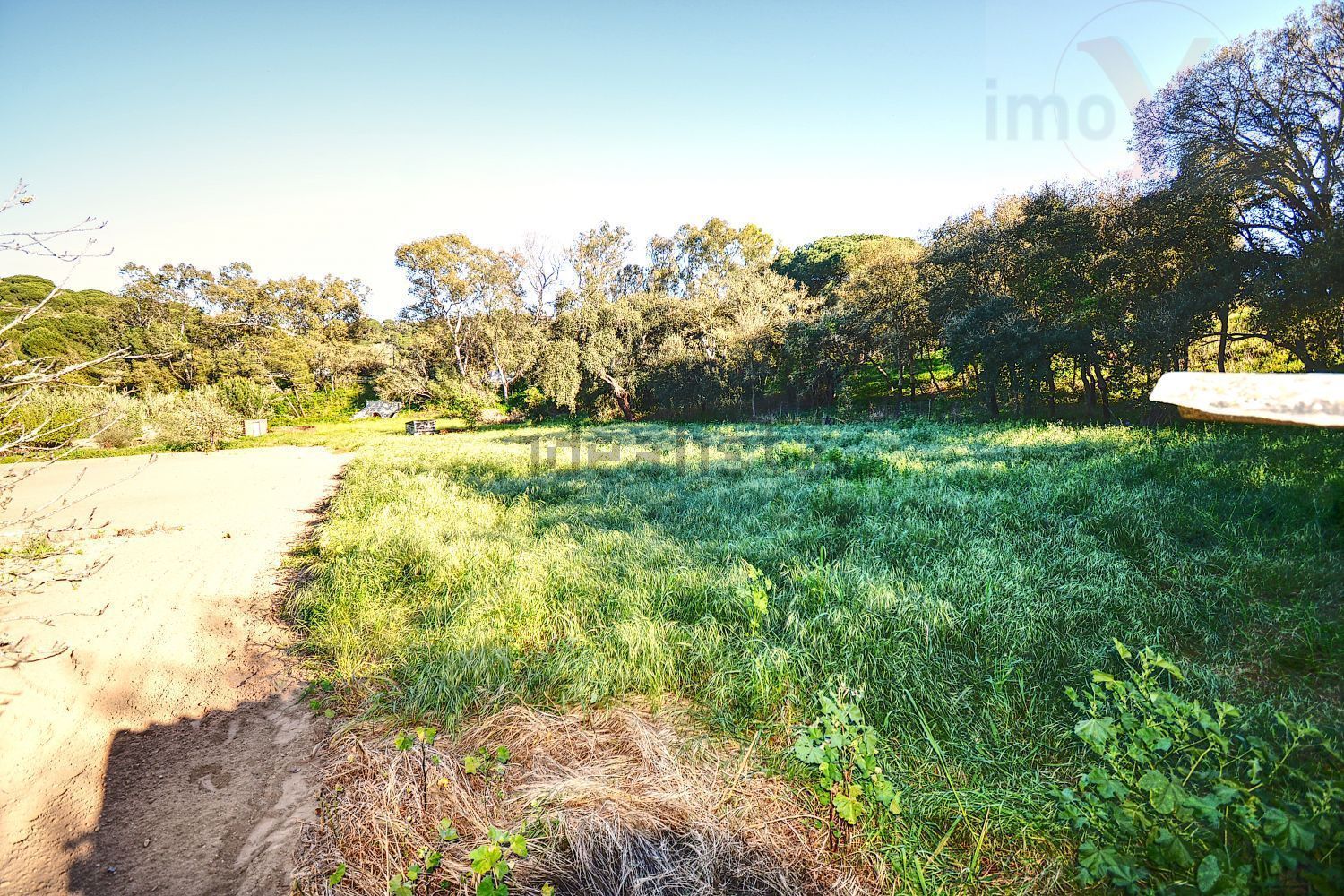 庄园出售在Melides - 花园