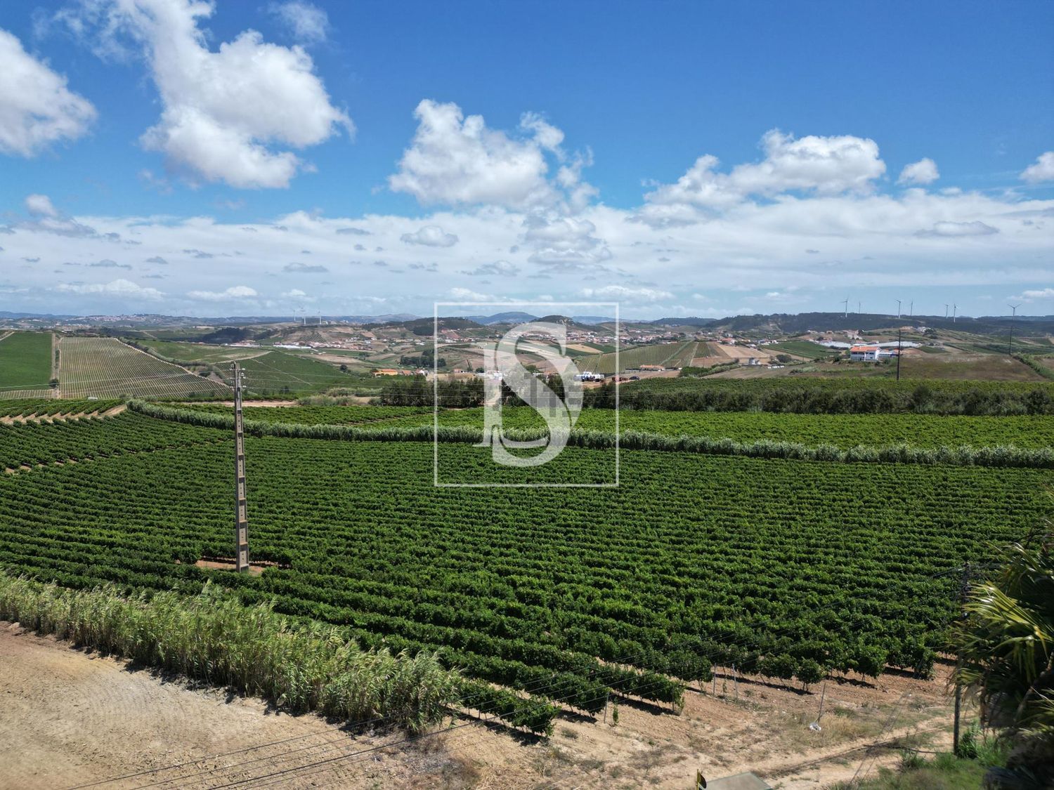 小楼房或独栋别墅出售在Encarnação - 花园