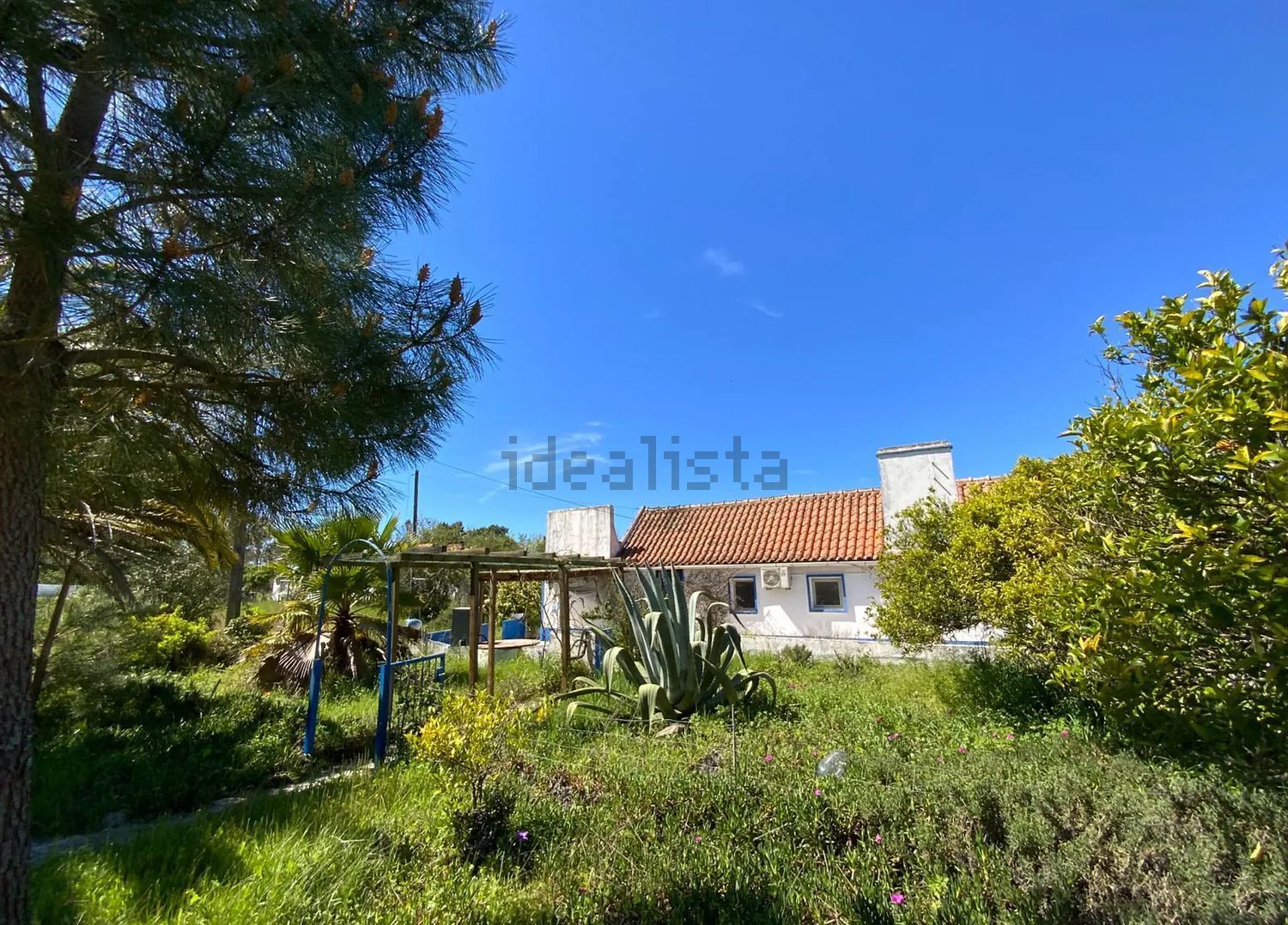 小楼房或独栋别墅出售Grandola - 外立面