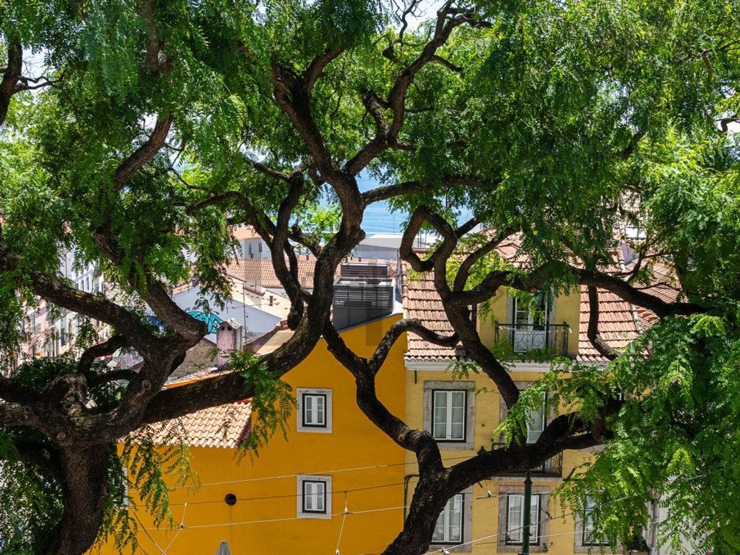 公寓 t2出售在Rua São Tomé - 照片