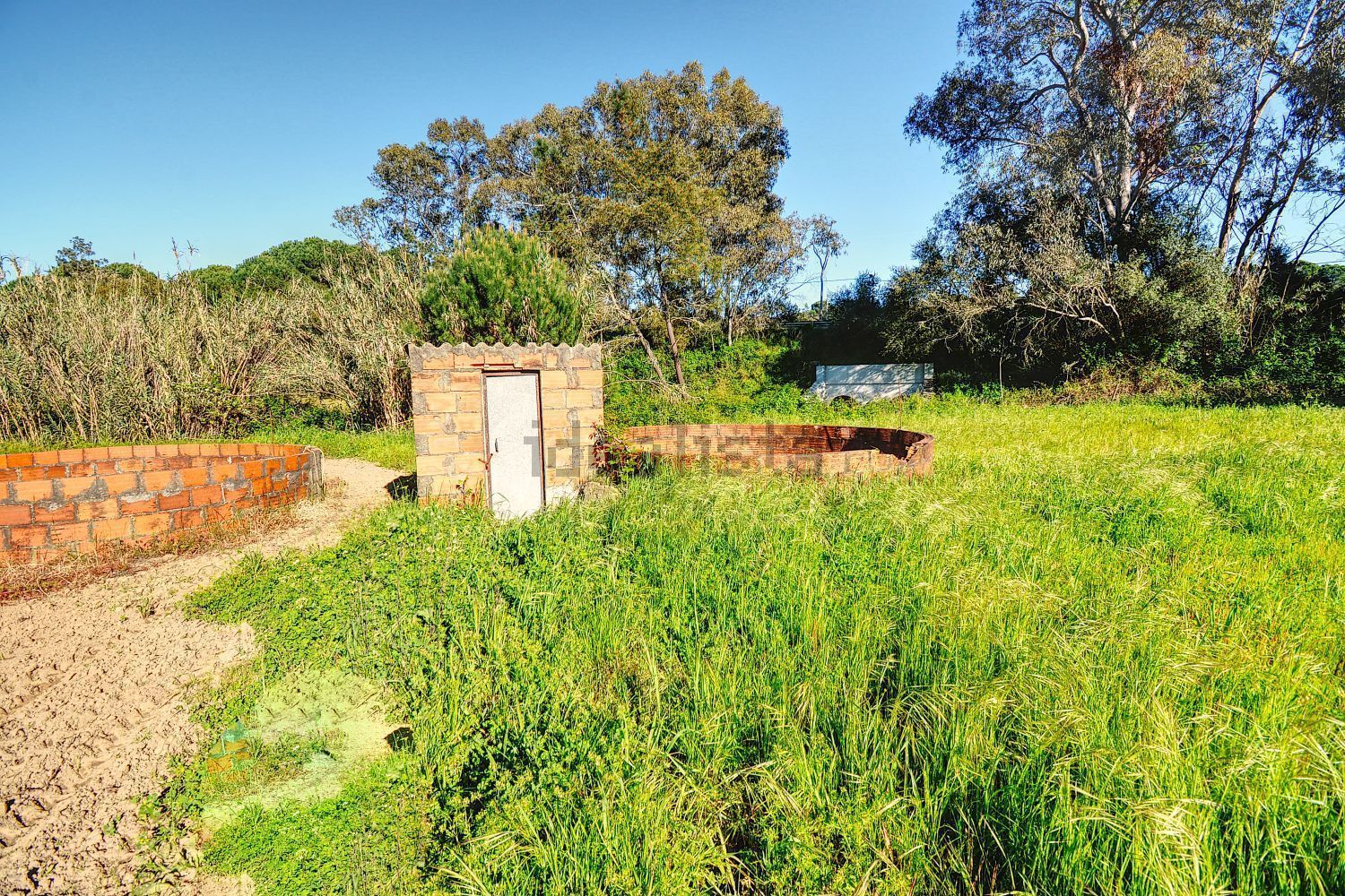 庄园出售在Melides - 花园