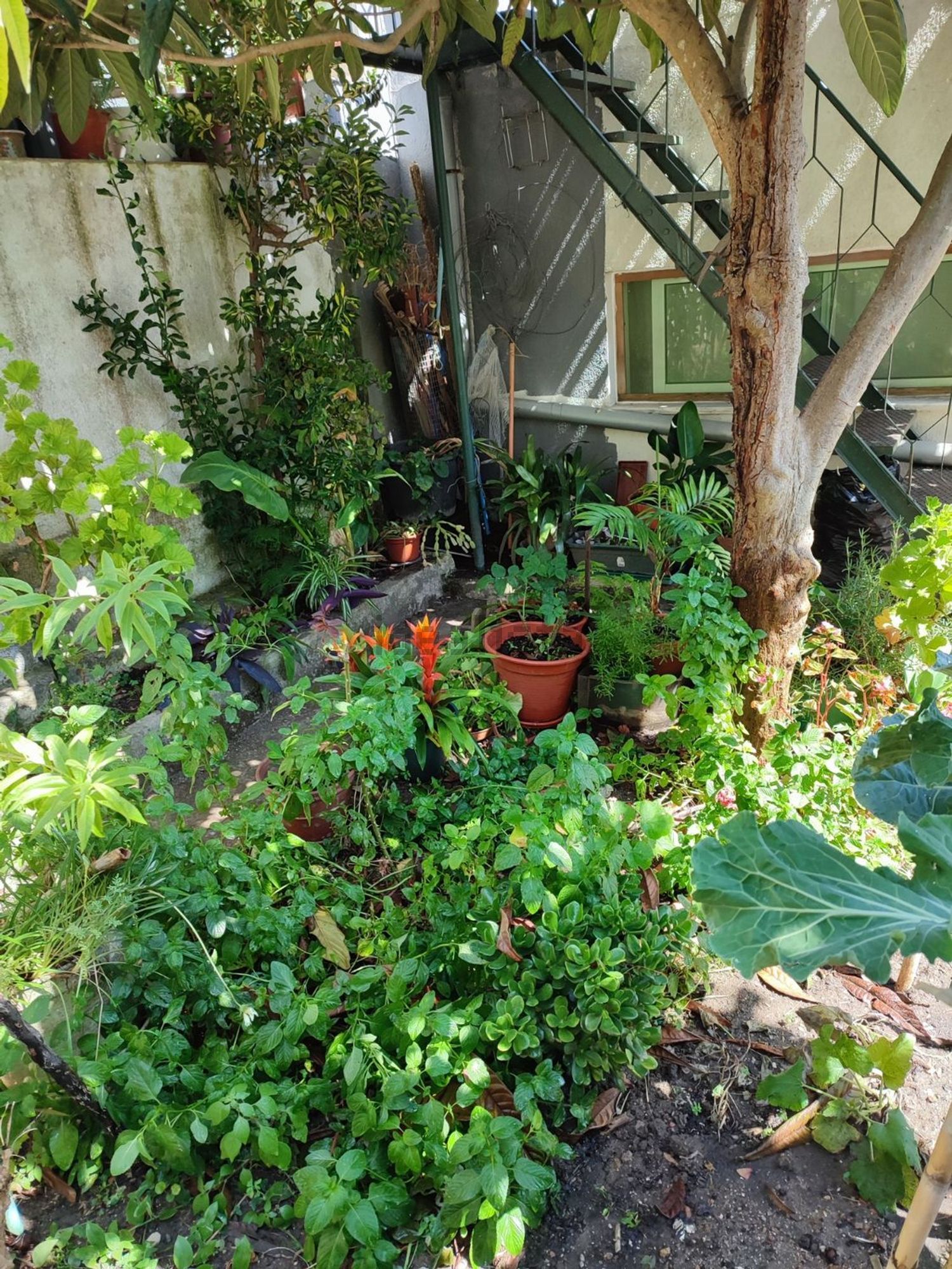 公寓 t1出售在Avenida do Cristo Rei, 26 a - 花园