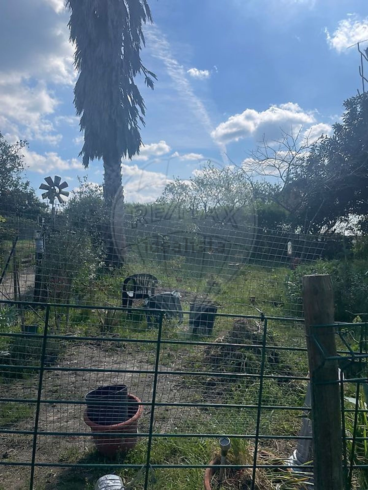 小楼房或独栋别墅出售N4 - 花园