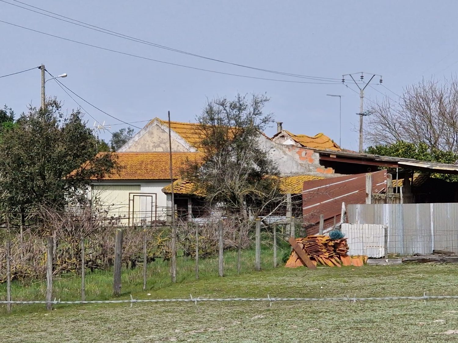 庄园出售在Poceirão e Marateca - 视线