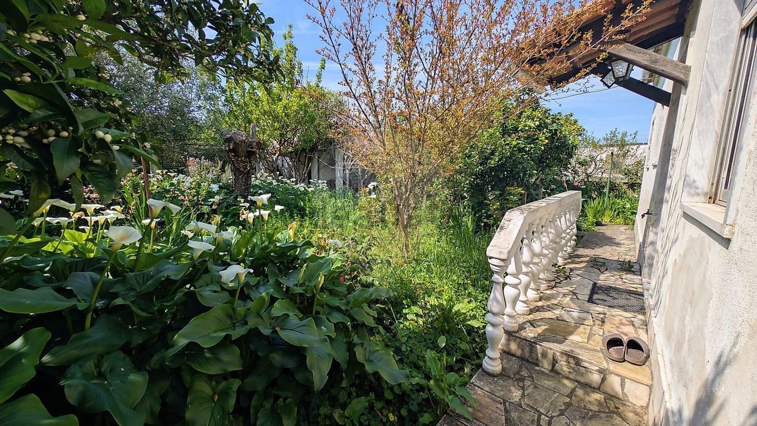 小楼房或独栋别墅出售在Rua 1º de Maio - 花园