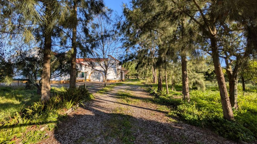 庄园出售António Aleixo, 204 2985-156, 204