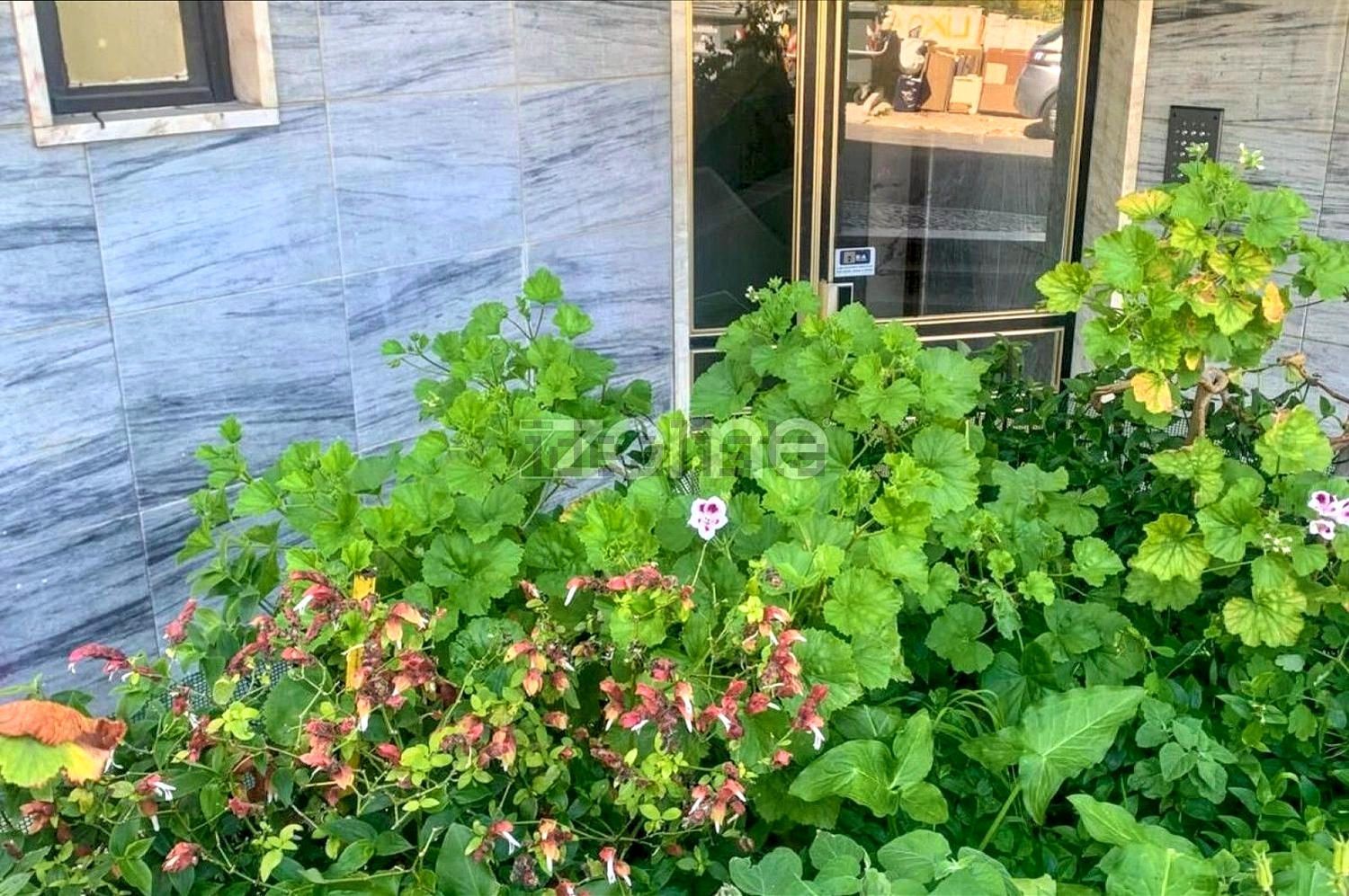 出租公寓 t1在Rua Duarte de Melo, 2 - 详情