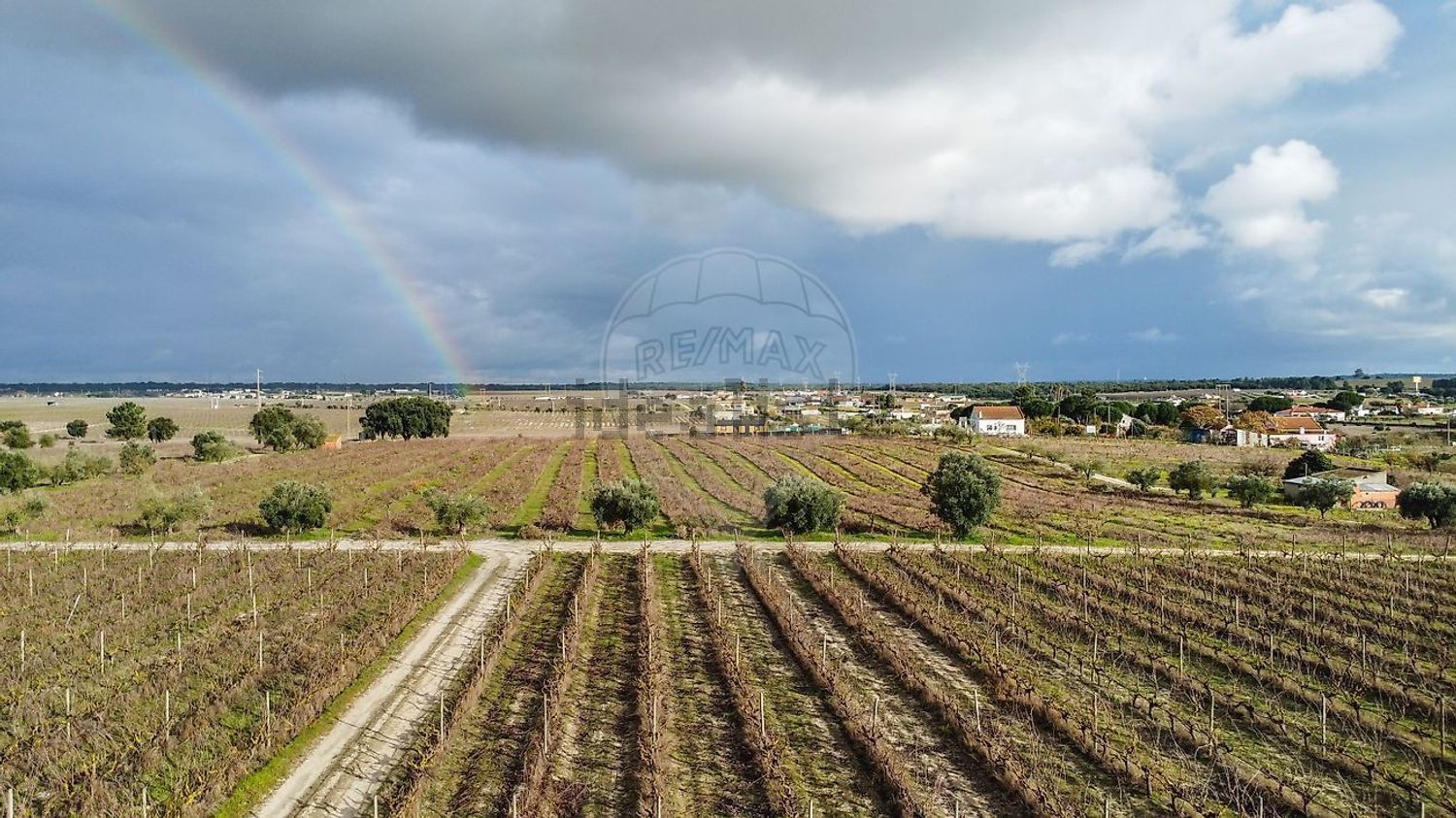 庄园出售在Poceirão e Marateca - 花园