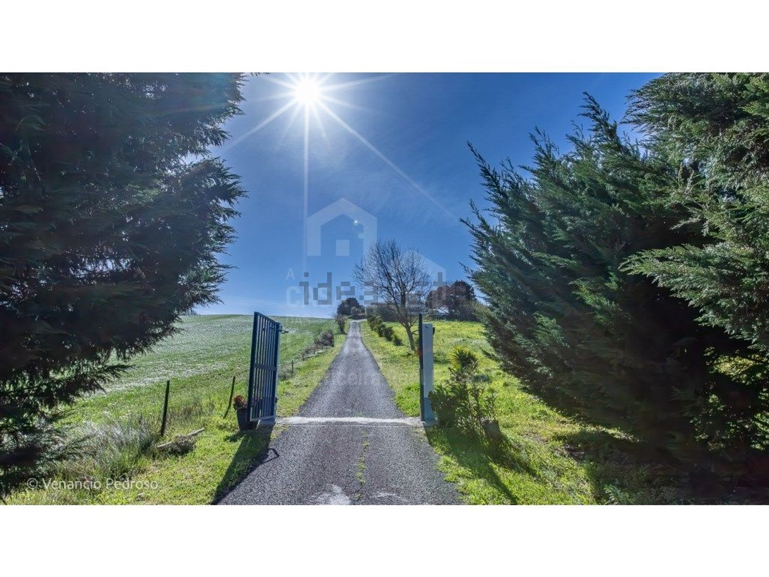 庄园出售在Encarnação - 花园