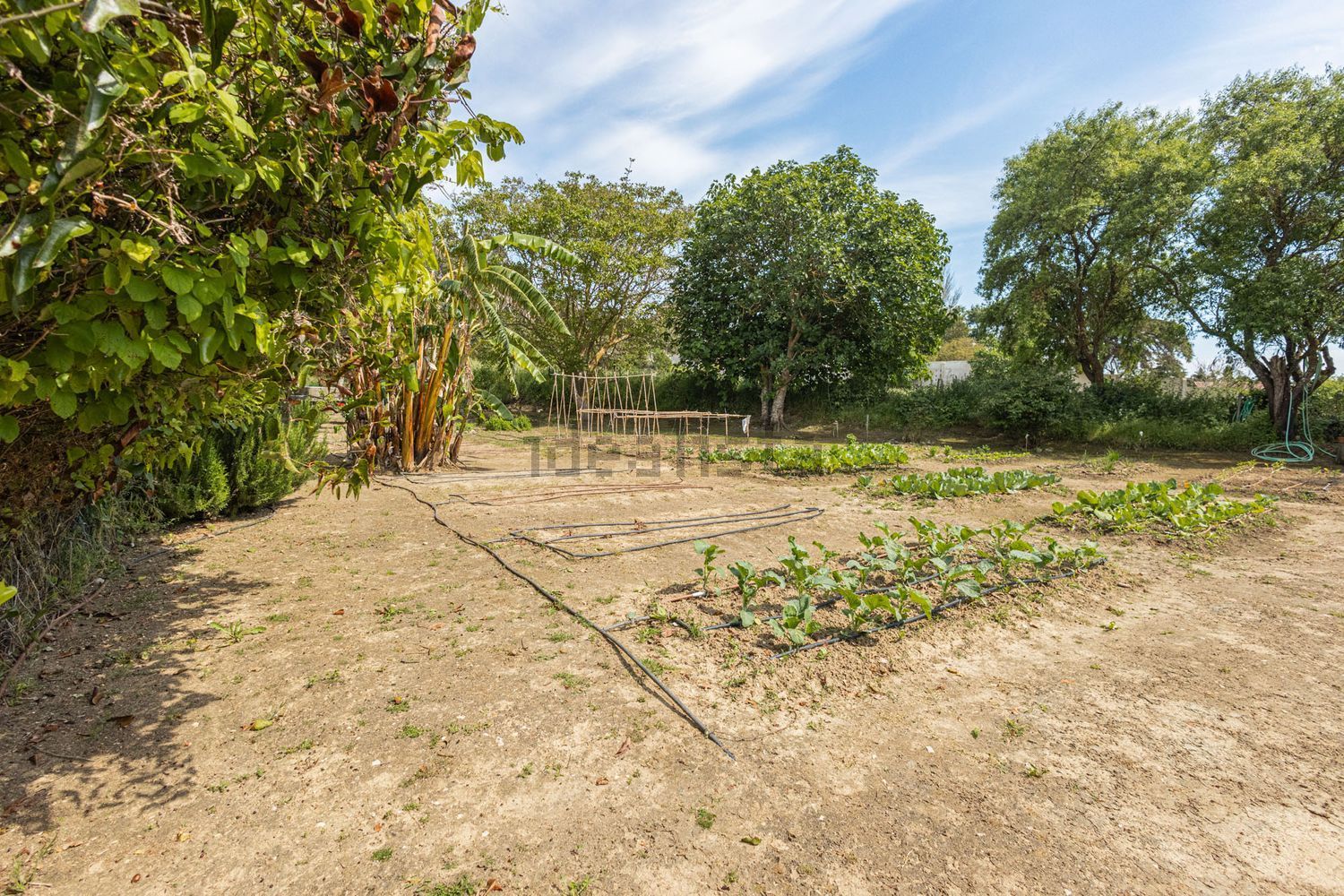 小楼房或独栋别墅出售Estr. da Serralheira de Baixo - 花园