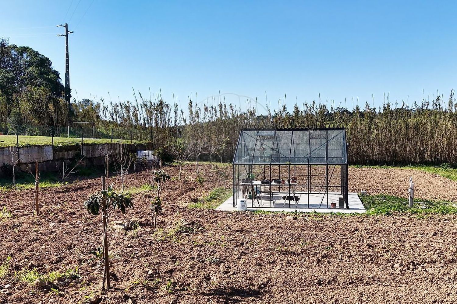 小楼房或独栋别墅出售在Rua da Liberdade - 花园