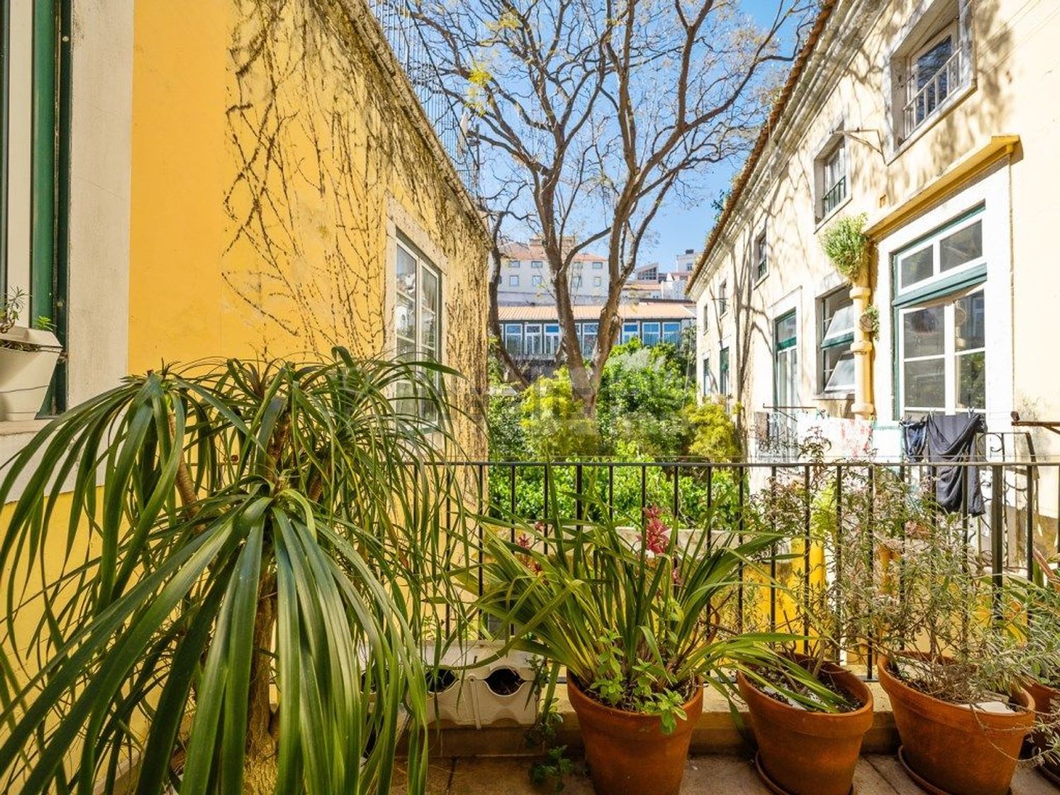 公寓 t6出售在Graça - 露台