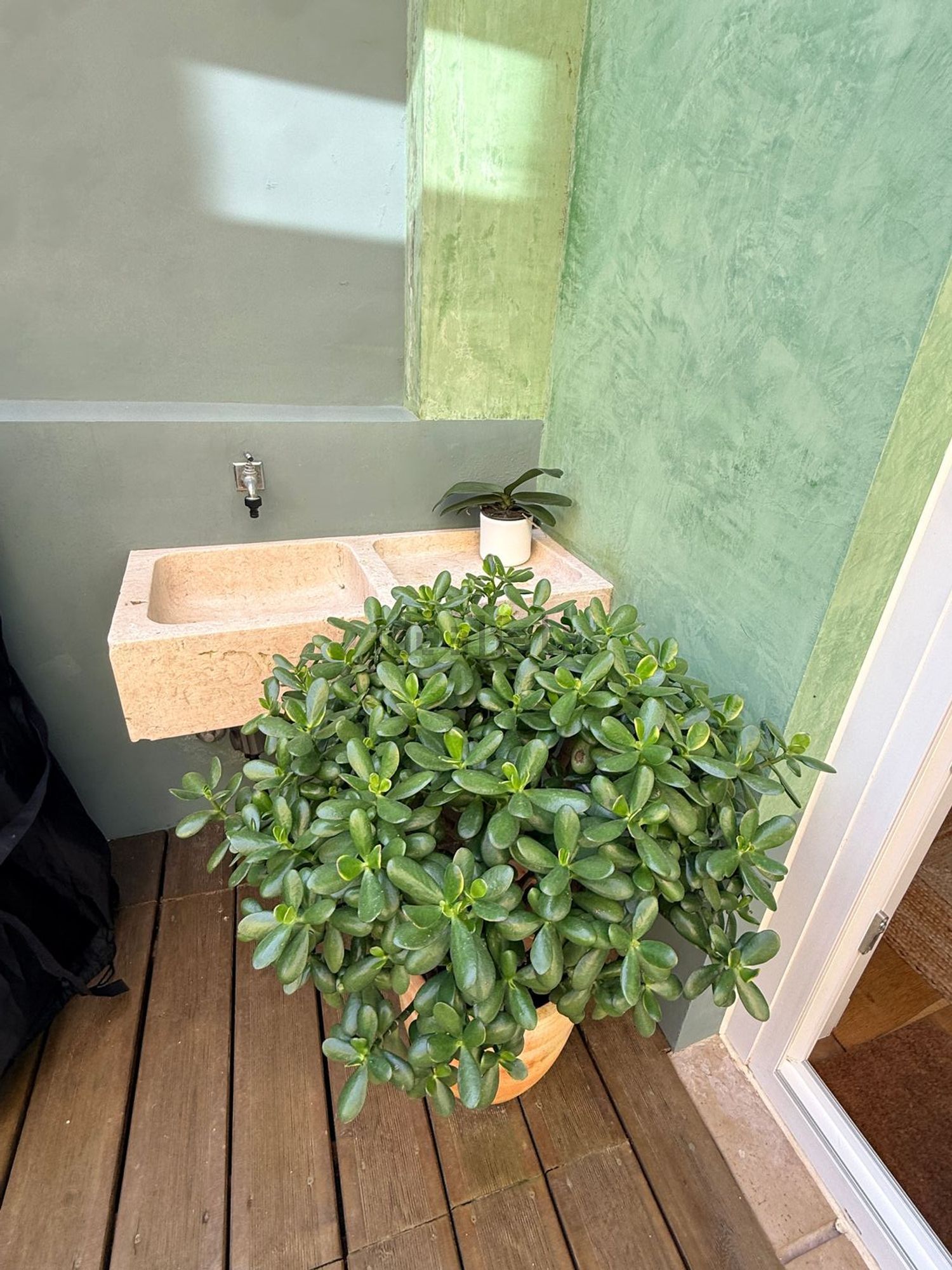 公寓 t2出售在Rua da Verónica - 详情