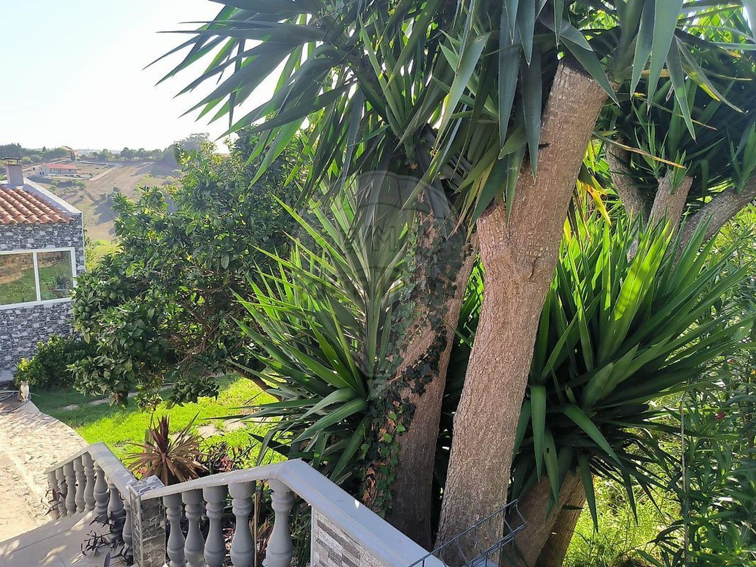 小楼房或独栋别墅出售在Rua da Mata de Palhacana - 花园