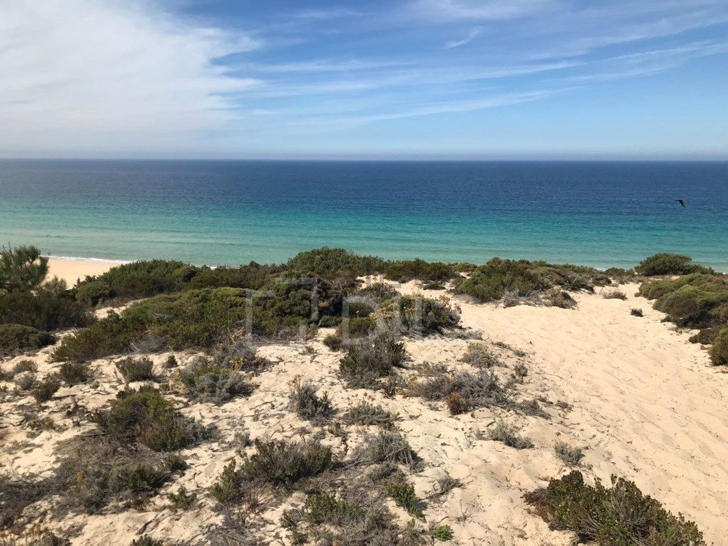 小楼房或独栋别墅出售在Rua do Pinhal - 视线