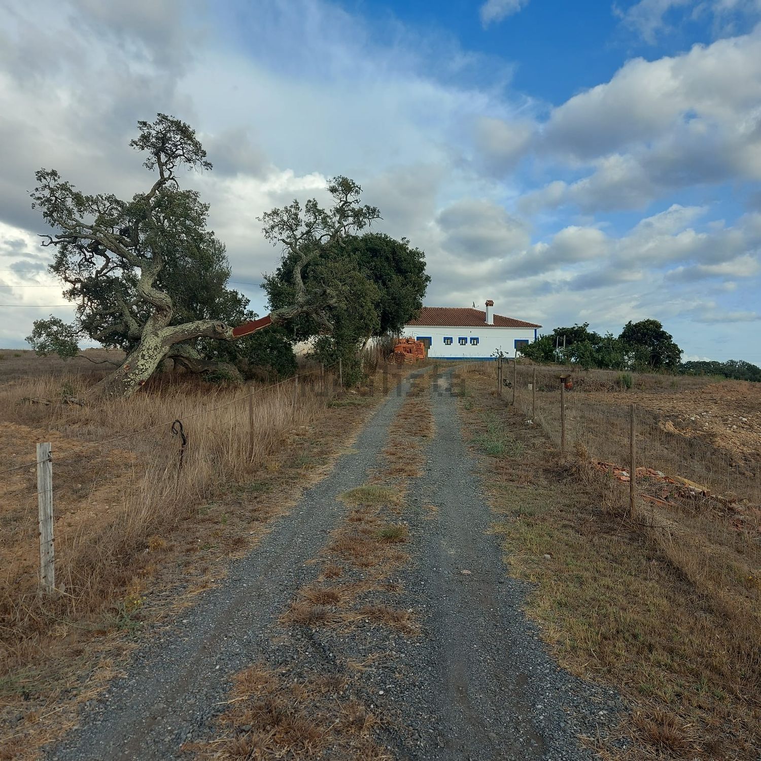 阿连特茹山出售Zona rural de Cercal do Alentejo Zonarural - 花园